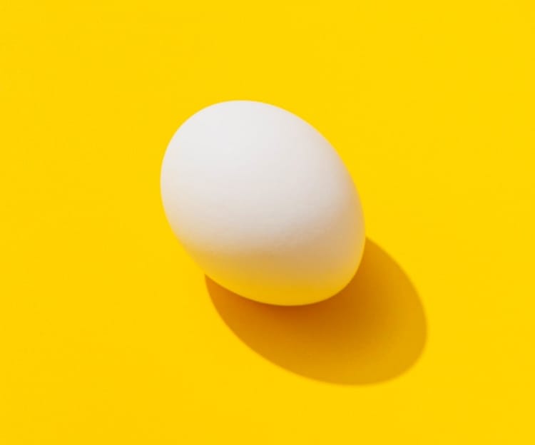 egg with background yellow